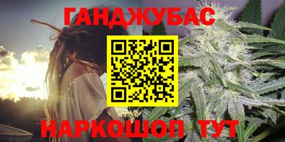 кокс Кингисепп