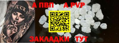 кокс Кингисепп