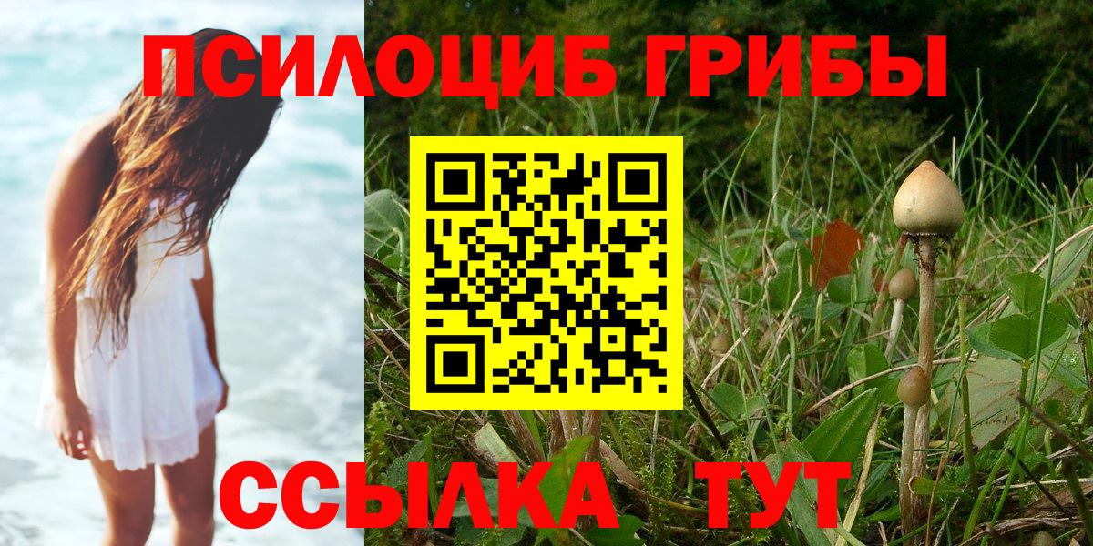 Галлюциногенные грибы Magic Shrooms Урус-Мартан