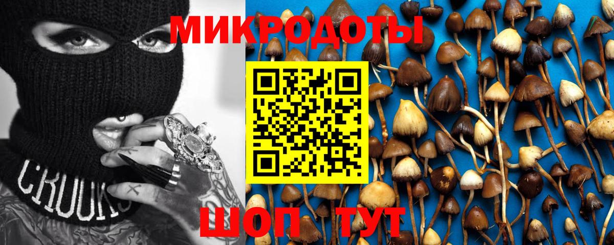 Псилоцибиновые грибы ЛСД  Вход с VPN  Псилоцибиновые грибы MAGIC MUSHROOMS  Урус-Мартан 